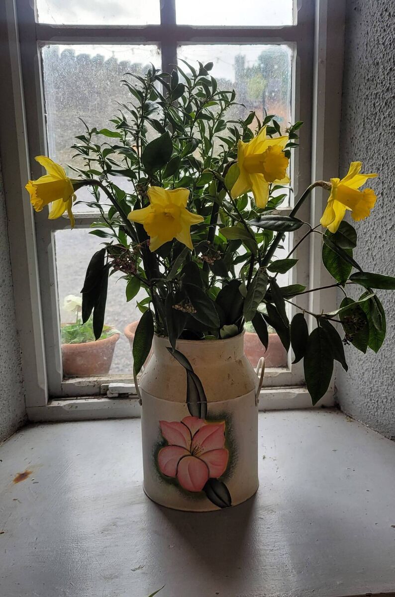 A seasonal bouquet of daffodils, sarcococca and aucuba from the garden. A seasonal bouquet of daffodils, sarcococca and aucuba from the garden.