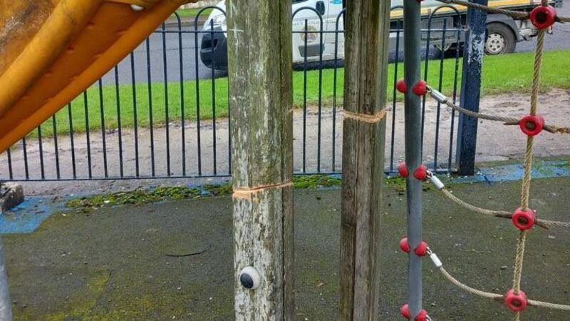 Measures needed to prevent future vandalism at Cork playground, says councillor 