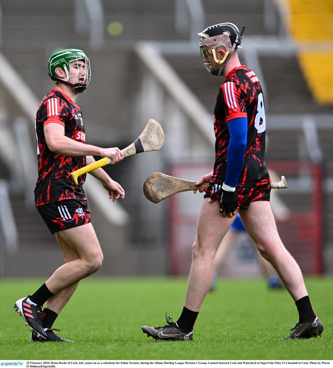 Brian Roche, left, comes on for the injured Ethan Twomey against Waterford. Picture: Piaras Ó Mídheach/Sportsfile