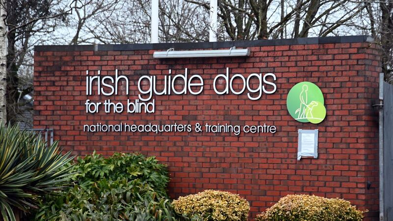 Four Cork charities receive almost €3m in grants to help people with disabilities 