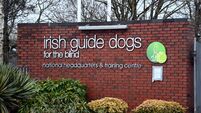 Four Cork charities receive almost €3m in grants to help people with disabilities 