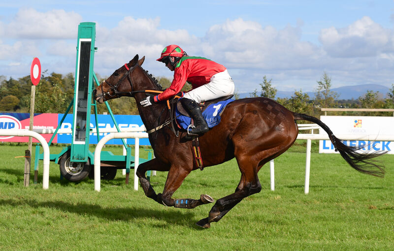 Answer To Kayf and John Shinnick win for trainer Terence O'Brien last winter. Picture: Healy Racing
