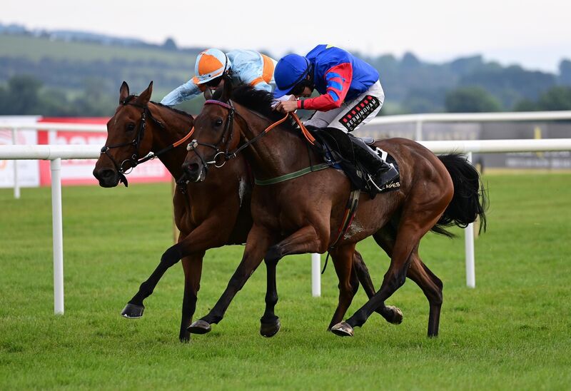 Da Capo Glory and Mike O'Connor win the Oak Lodge Landscapes Hurdle. Picture: Healy Racing