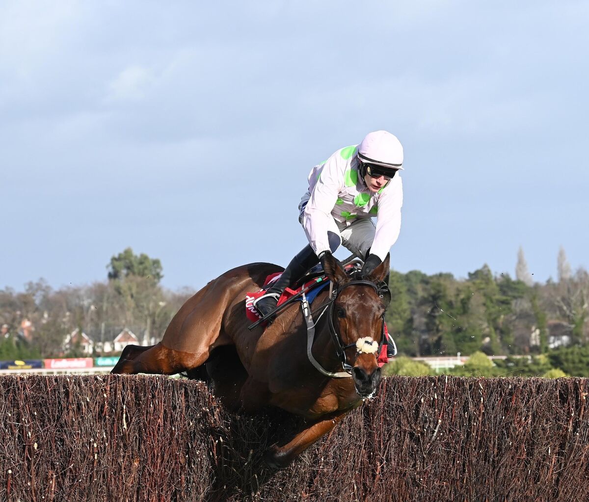 Gaelic Warrior and Paul Townend part company at the last fence in the Ladbrokes Novice Steeplechase. Picture: Healy Racing Gaelic Warrior and Paul Townend part company at the last fence in the Ladbrokes Novice Steeplechase. Picture: Healy Racing