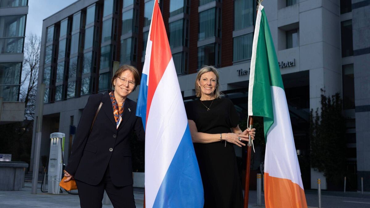 Former UCC lecturer named new Dutch honorary consul