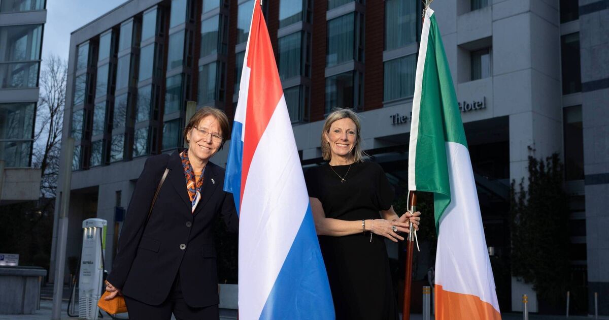 Former UCC lecturer named new Dutch honorary consul - Vimarsana News