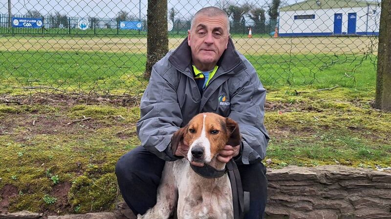 Cork Draghunting: Pat O'Mahony and Zion deliver big win at Mayfield Senior Draghunt Cork Draghunting: Pat O'Mahony and Zion deliver big win at Mayfield Senior Draghunt