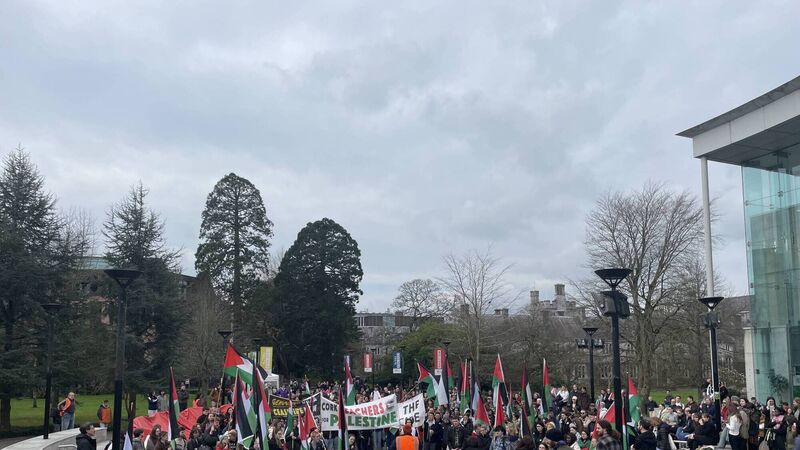 UCC students stage walk-out from classes over conflict in Palestine