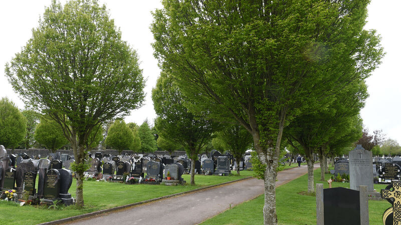 Plans for city cemetery expansion approved by councillors