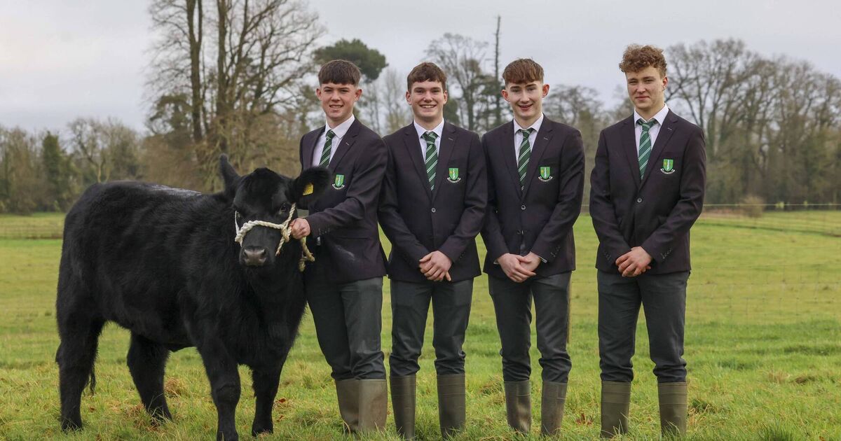 Cork students farm biodiversity project shortlisted in schools challenge - Vimarsana News
