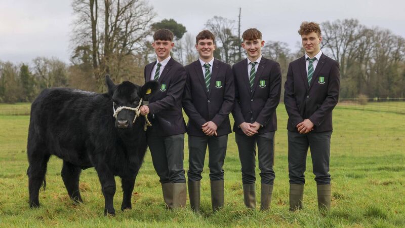 Cork students farm biodiversity project shortlisted in schools challenge