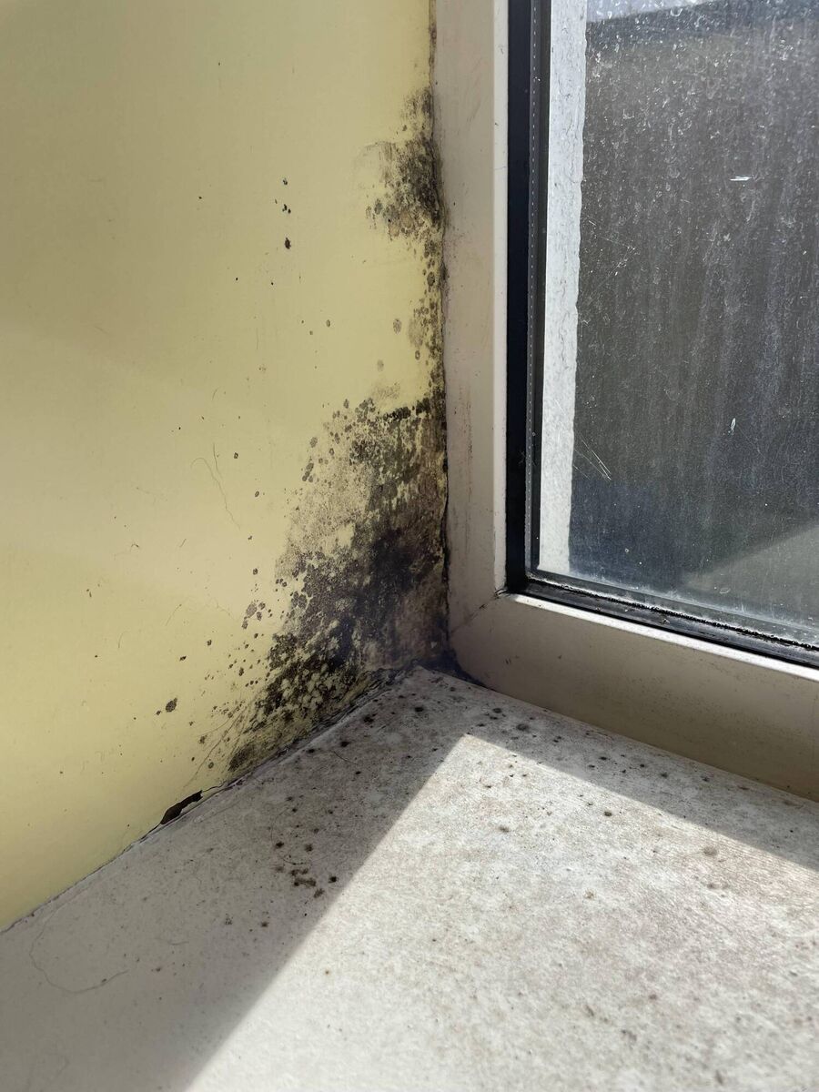 Mould on the window surround in the flat of Fort Street resident "Kayleigh". Picture: Donal O'Keeffe Mould on the window surround in the flat of Fort Street resident "Kayleigh". Picture: Donal O'Keeffe
