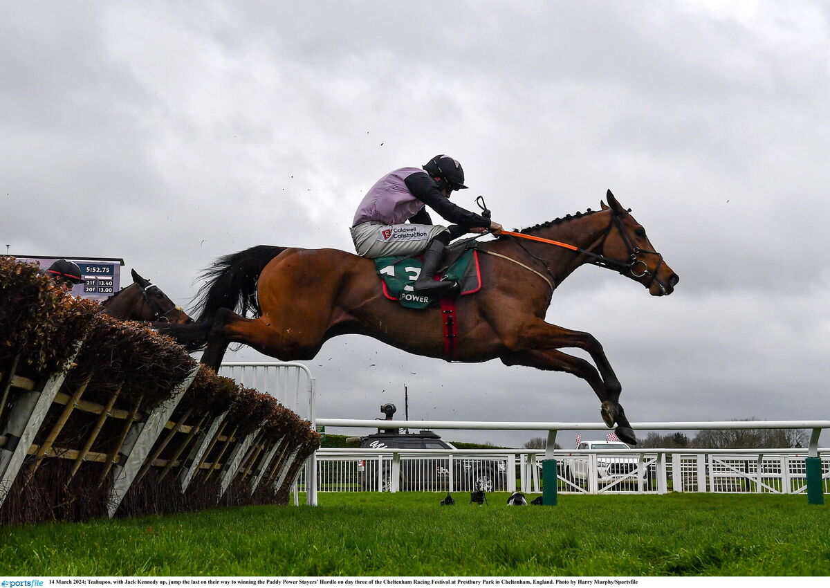 Teahupoo, with Jack Kennedy up, jumps the last on their way to winning the Paddy Power Stayers' Hurdle. Picture: Harry Murphy/Sportsfile