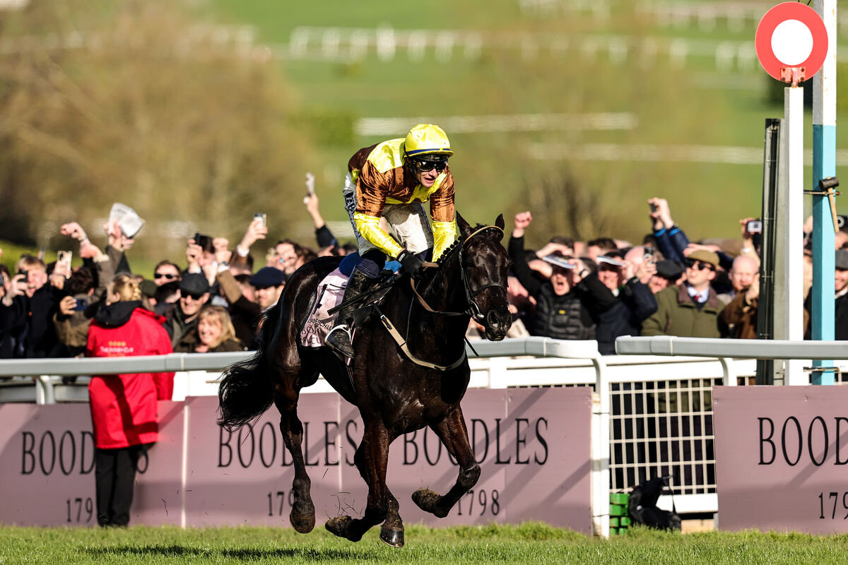 Paul Townend onboard Galopin Des Champs comes home to win. Picture: INPHO/Tom Maher Paul Townend onboard Galopin Des Champs comes home to win. Picture: INPHO/Tom Maher