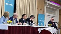 Cork's John Mullins aiming to bring his vast knowledge and expertise to MEP role