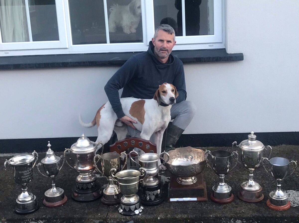 Cork Draghunting: John O'Callaghan of Northern Hunt with treble Senior Champion Authority and his array of silverware.