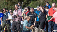 Cork Draghunting: Guide to this season's fixtures