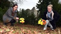 Bessborough campaigner hits out at compensation scheme omission