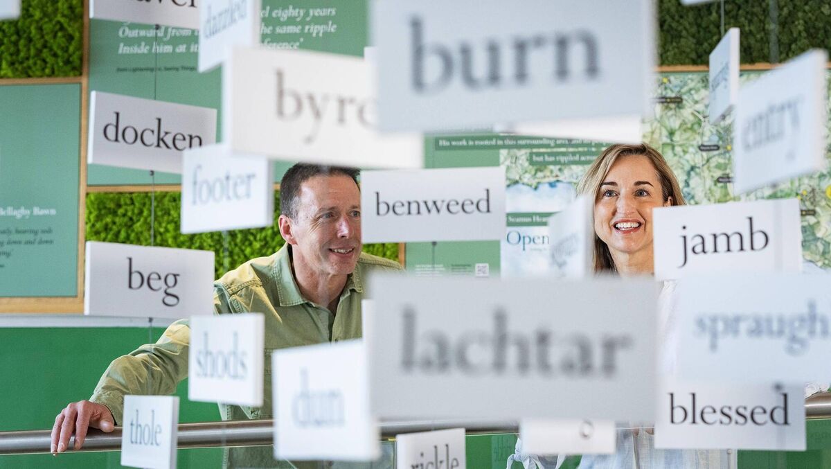 Engage with interactive displays, audiovisual presentations and headsets containing Seamus himself reading his poetry. Engage with interactive displays, audiovisual presentations and headsets containing Seamus himself reading his poetry.