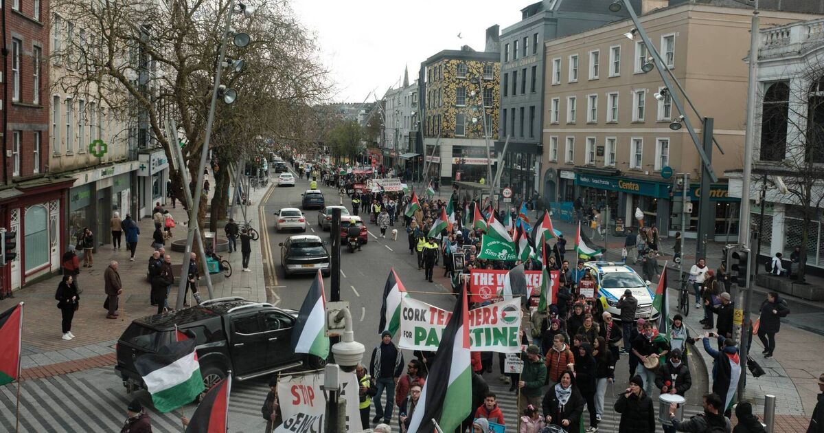 Hundreds take to the streets of Cork to march for peace in Palestine - Vimarsana News