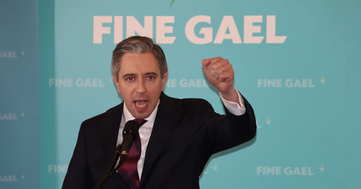 Fine Gael party members in Cork pay tribute to Simon Harris as he becomes party leader - Vimarsana News