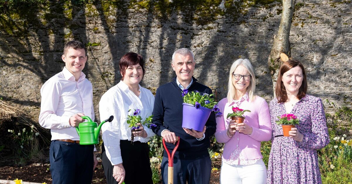 Fertility benefit programme offered at Cork company - Vimarsana News