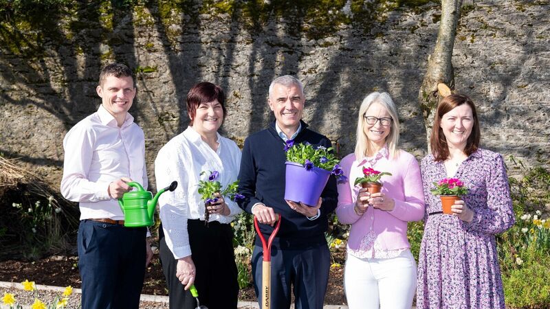 Fertility benefit programme offered at Cork company Fertility benefit programme offered at Cork company
