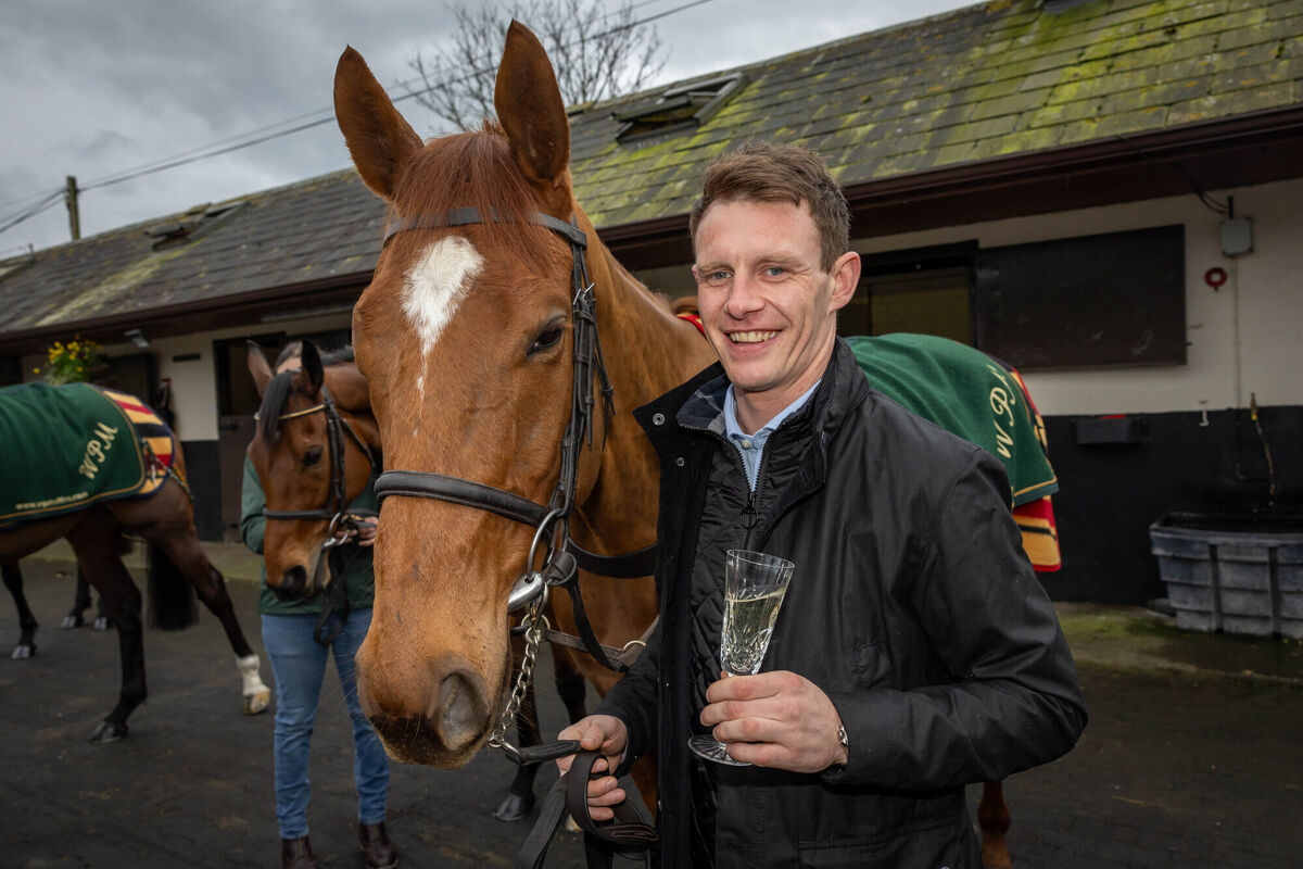 Homecoming of 2024 Boodles Cheltenham Gold Cup Winner Galopin Des Champs, Willie Mullins Yard, Closutton, Carlow 19/3/2024