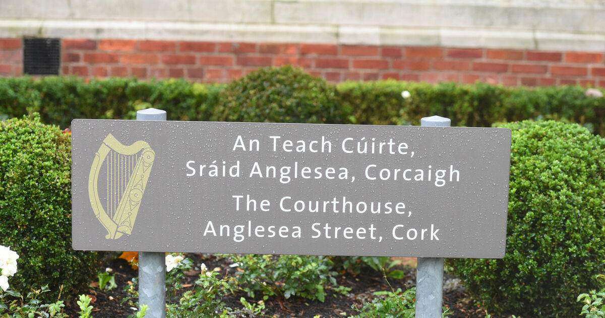 'I hope your daughter dies,' drunken man said to garda - Vimarsana News