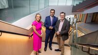 Irish organisations can become generative AI leaders, Microsoft study suggests