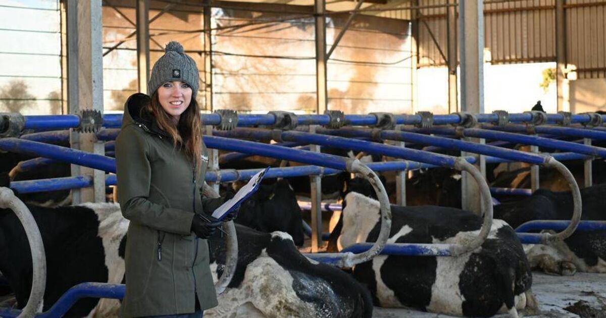 Meet the Cork woman at the helm of Veterinary Ireland - Vimarsana News