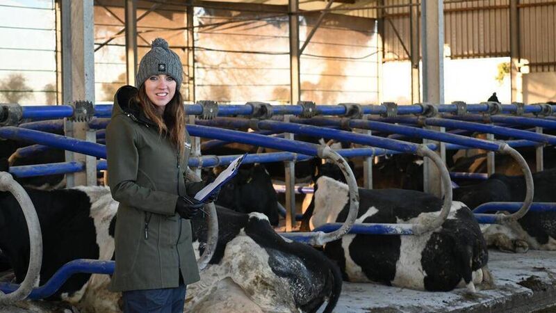 Meet the Cork woman at the helm of Veterinary Ireland Meet the Cork woman at the helm of Veterinary Ireland