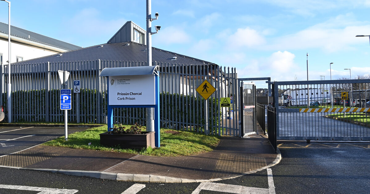 Inmate who allegedly assaulted two Cork prison officers remanded in
