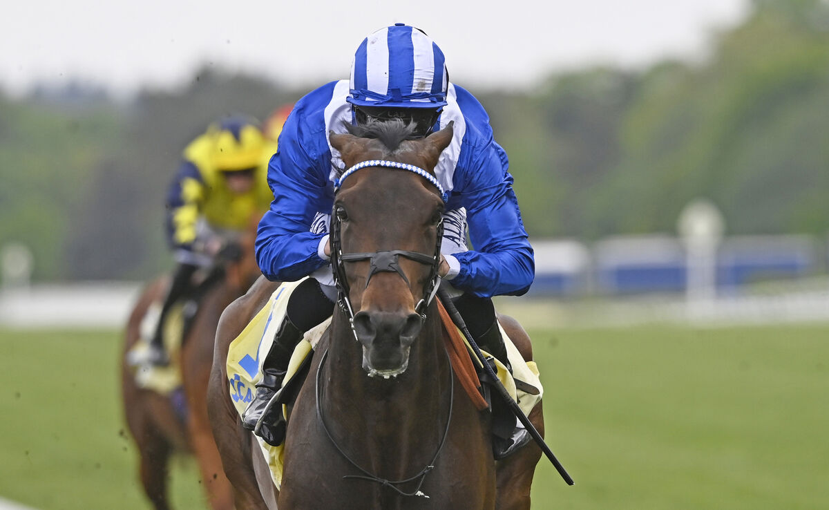  Al Aasy and Dane O'Neill win the Carey Group Buckhounds Stakes at Ascot Racecourse. Picture: Healy Racing