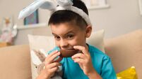 Fun brazilian child with easter bunny ears eating chocolate egg at home, in living room