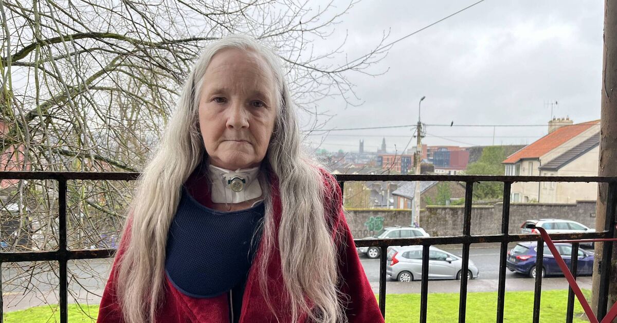 Cancer survivor using bleach to battle mould in her Cork council flat - Vimarsana News