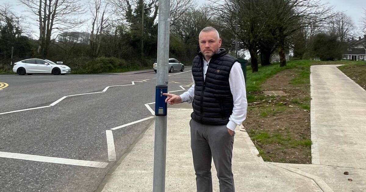 Cork councillor questions delay in turning on pedestrian crossing lights outside school - Vimarsana News