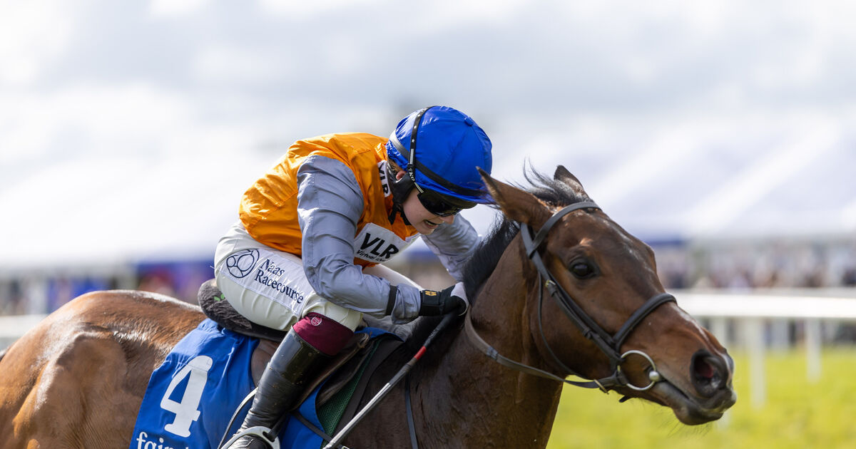 Cork Racing: Success for Jody and Paul Townend and Jimmy Mangan