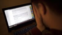 Cyber bullying stock