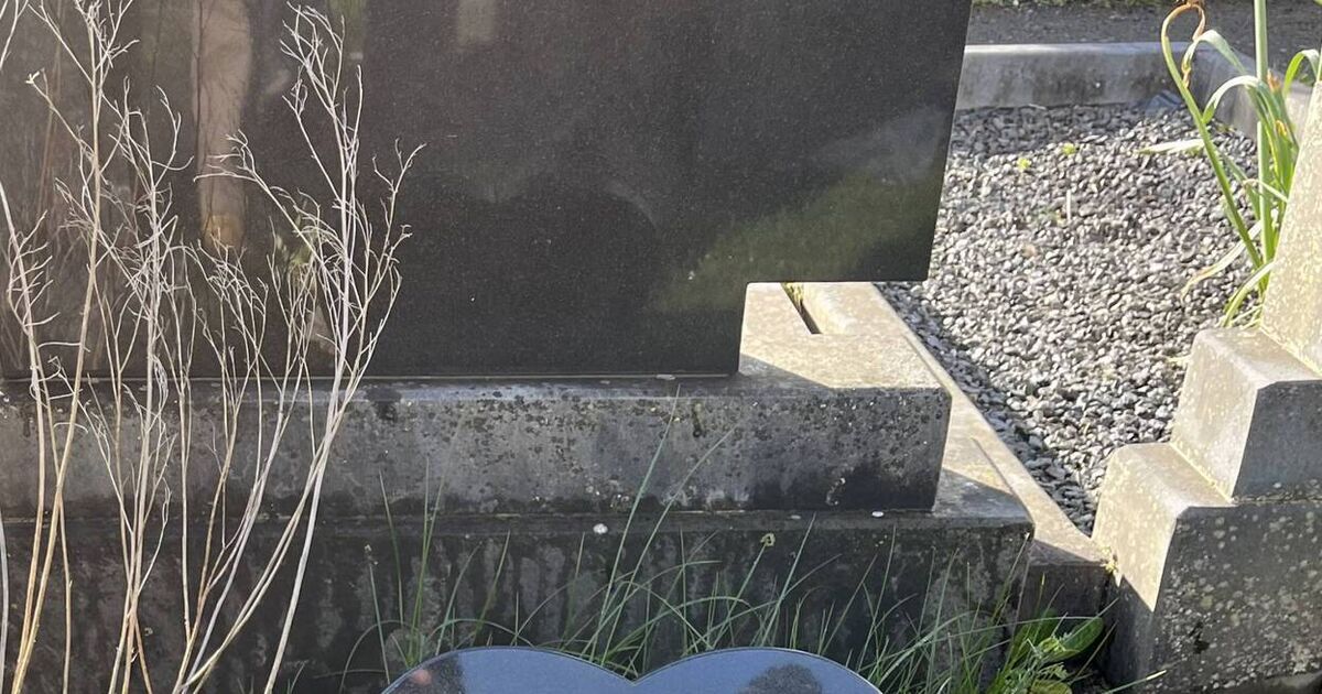 Repairs wanted on 'disgraceful' graveyard paths in historic Cork city graveyard - Vimarsana News
