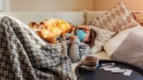 Sick woman having flu or cold. Girl lying in bed with cat wearing protective mask by pills and water on table
