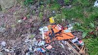 Dirty old town: Why IS there so much litter around Cork city?
