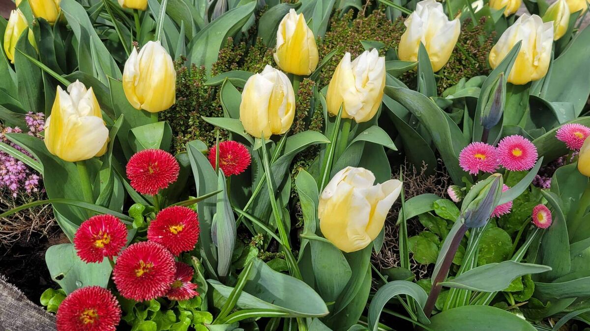 Hooray! The growing season has now begun