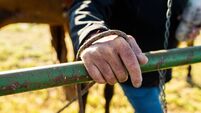Close up ranchers rough hand on a gate holding a rein