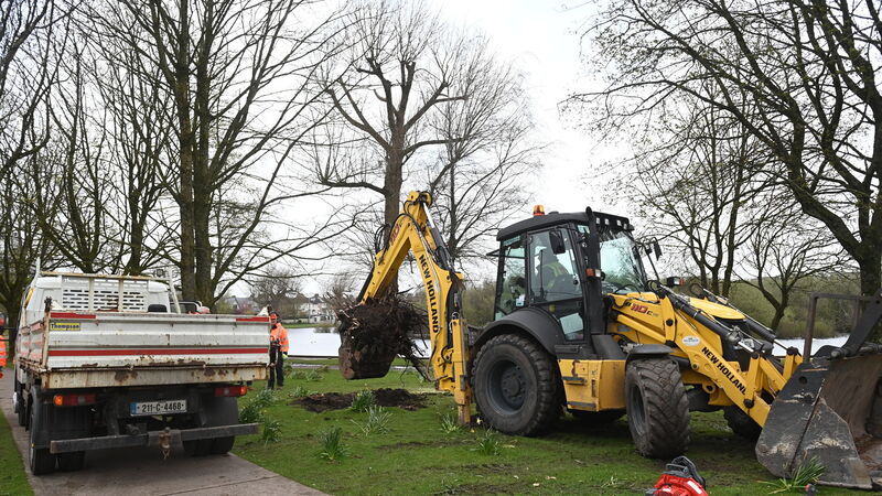 Storm Kathleen winds abate but hundreds of Cork homes still without power Storm Kathleen winds abate but hundreds of Cork homes still without power