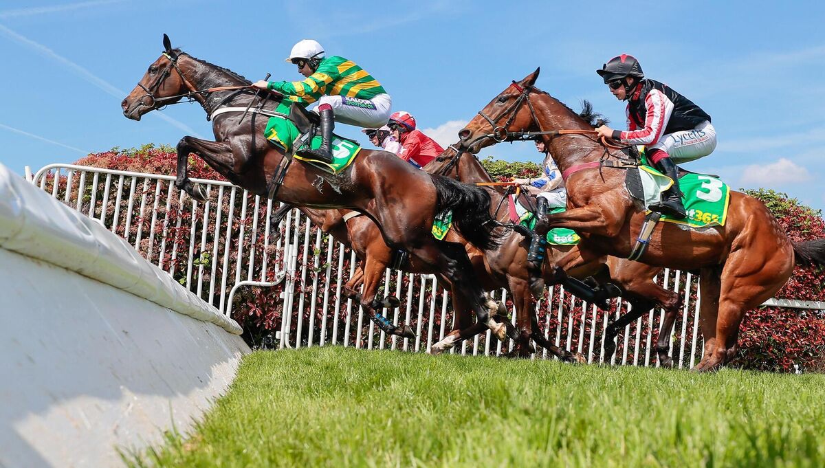 No5 Jonbon -Aidan Coleman winner jumps with the field