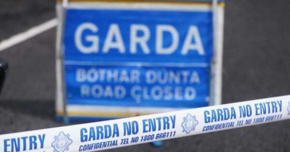 Third road death within 24 hours after man dies in Dublin crash - Vimarsana News