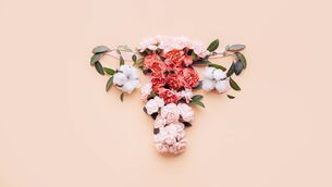 <p>conceptual abstract image of the female reproductive system. Female uterus with vagina and ovaries</p>