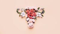 female uterus