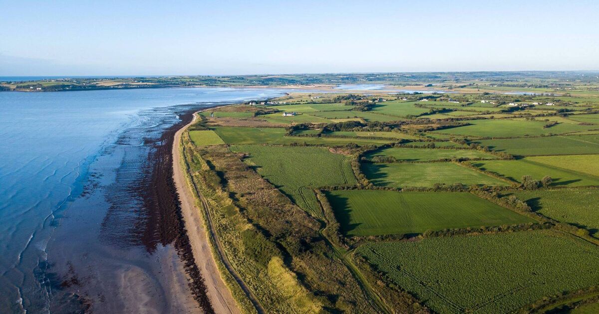 Public invited to attend information days on Celtic Interconnector project in Cork - Vimarsana News